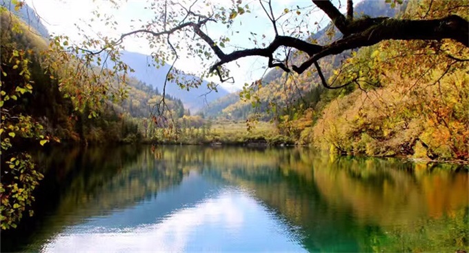 Z6·尊龙凯时「中国区」官方网站